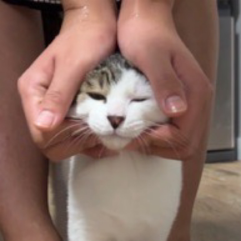 さき