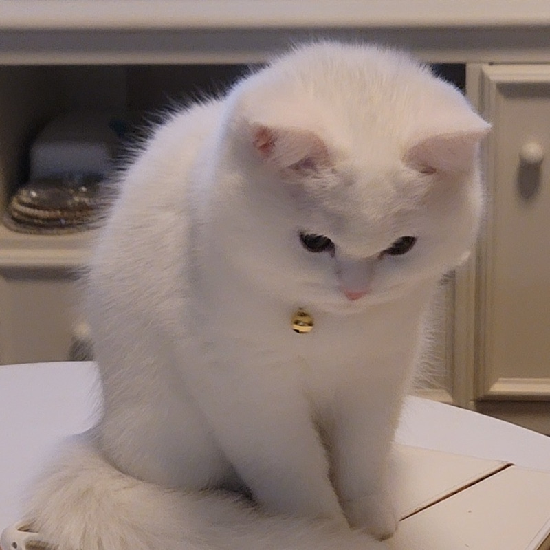 T☆H