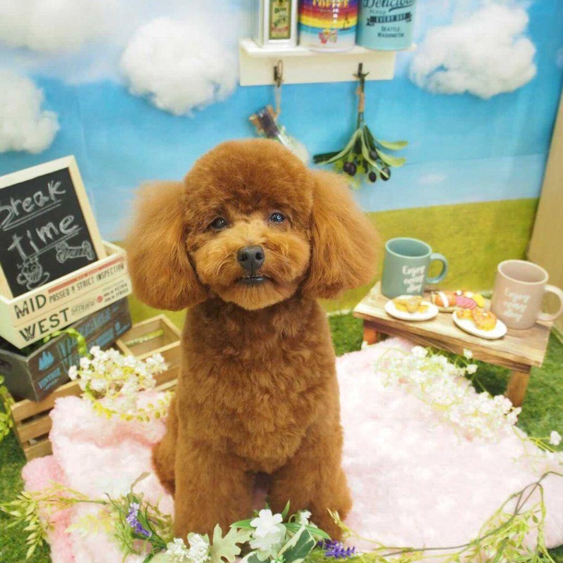 廣瀬　昌子