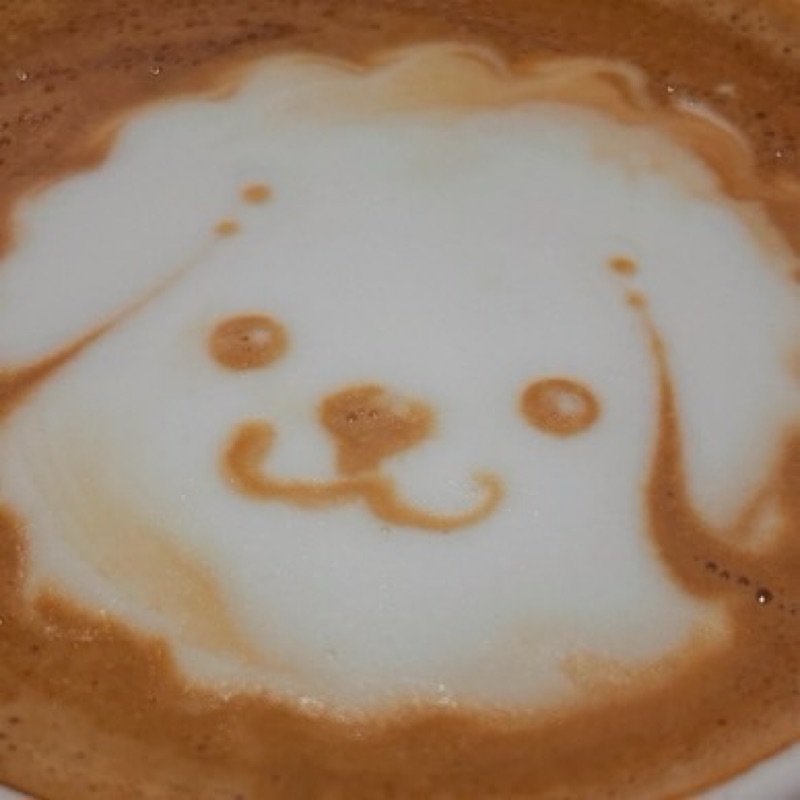 まゆこ
