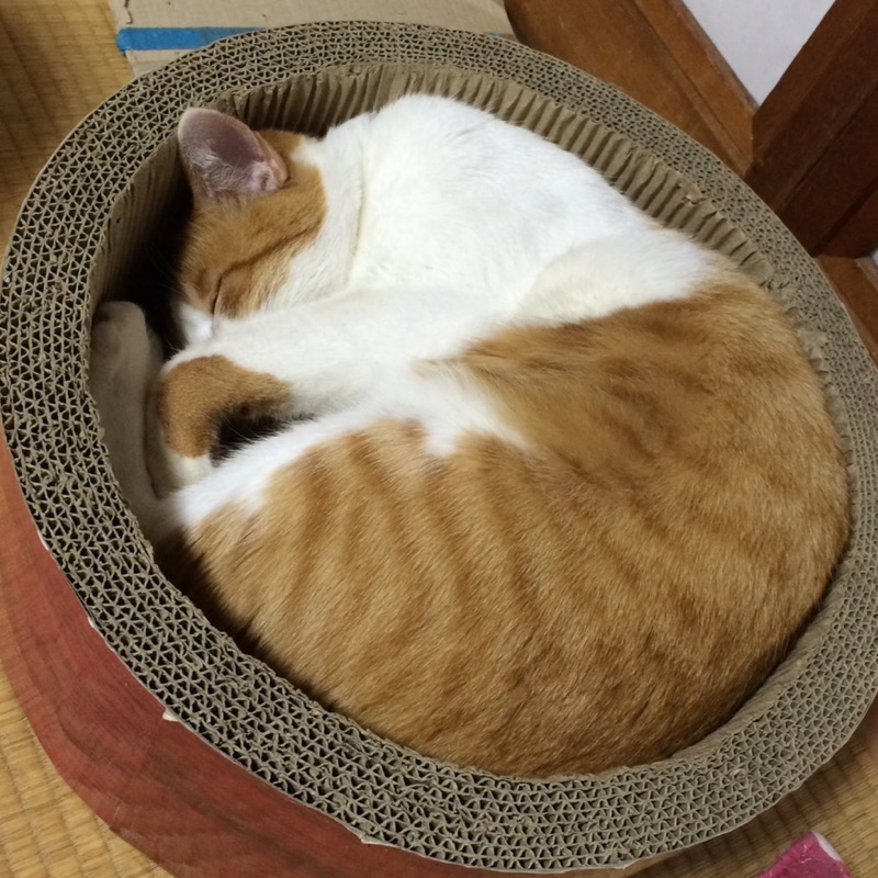 さとう