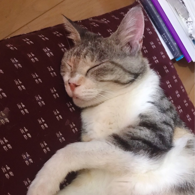 宮澤さとみ