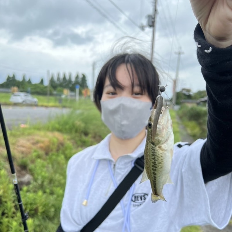 間浦みやび
