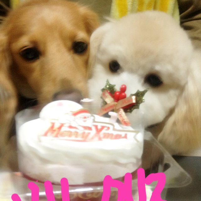 ちーぼぅ