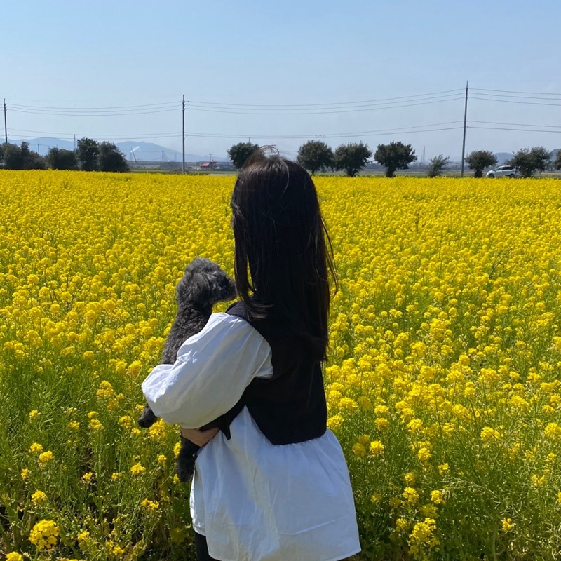 藤井桃子