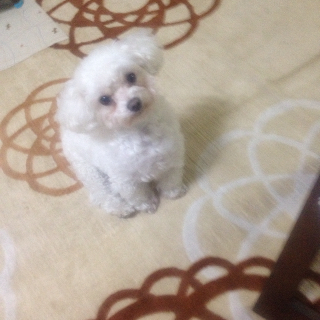 潘