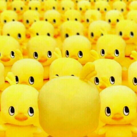 リリーぶぅ