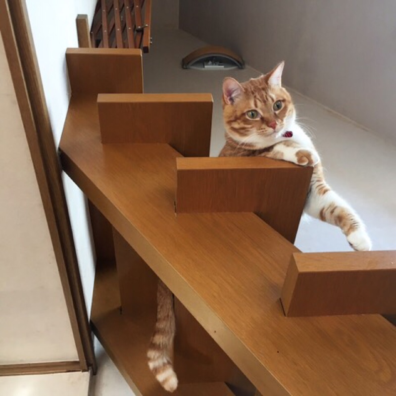 佐藤延代