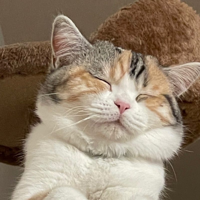 hiyo