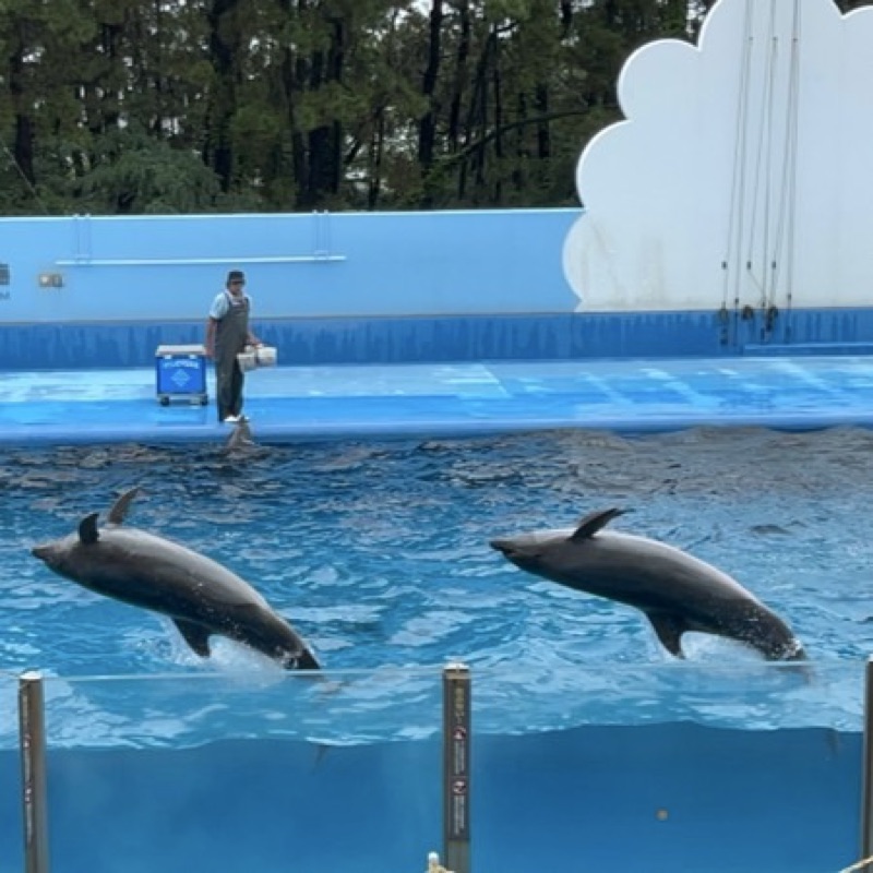 田中 美佳