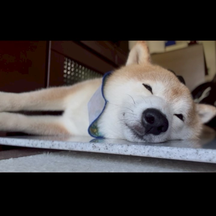 もり