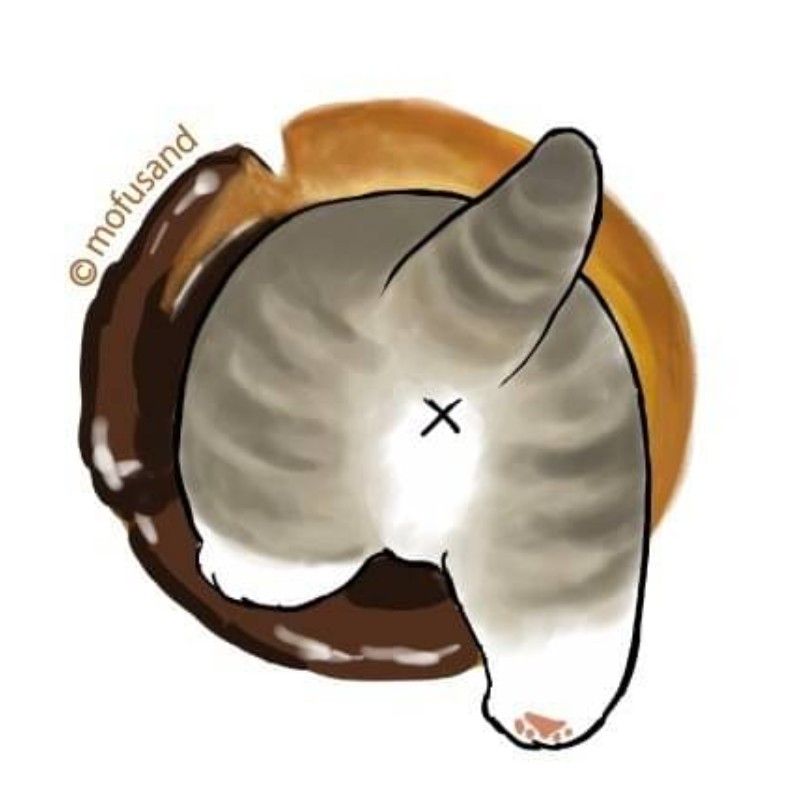 佐藤