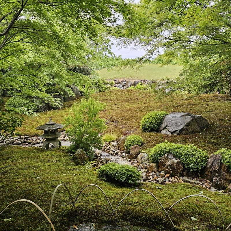 森まなみ