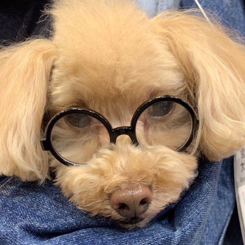 吉岡　優平