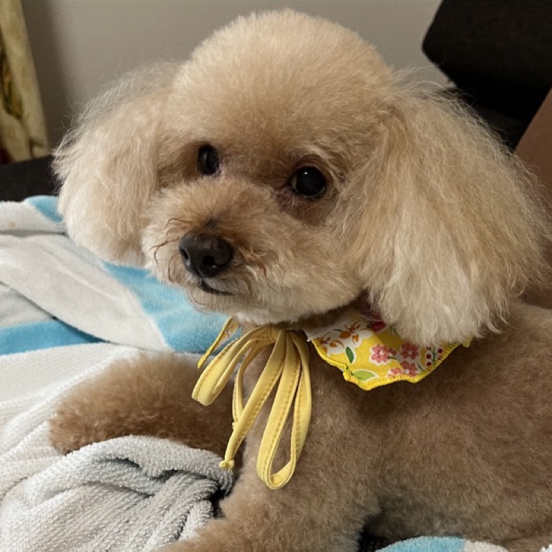jun