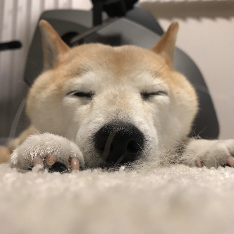 田薫