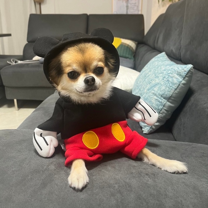 阿部博美
