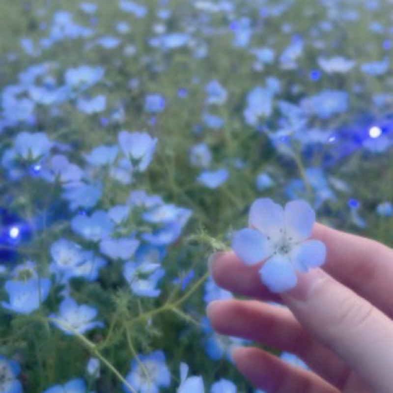 狹間 愛奈