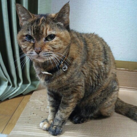 まさ