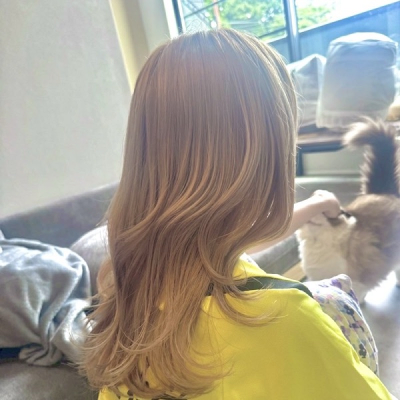 伊藤ありさ