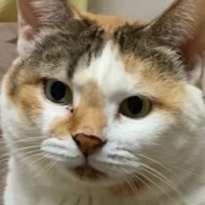 はるか