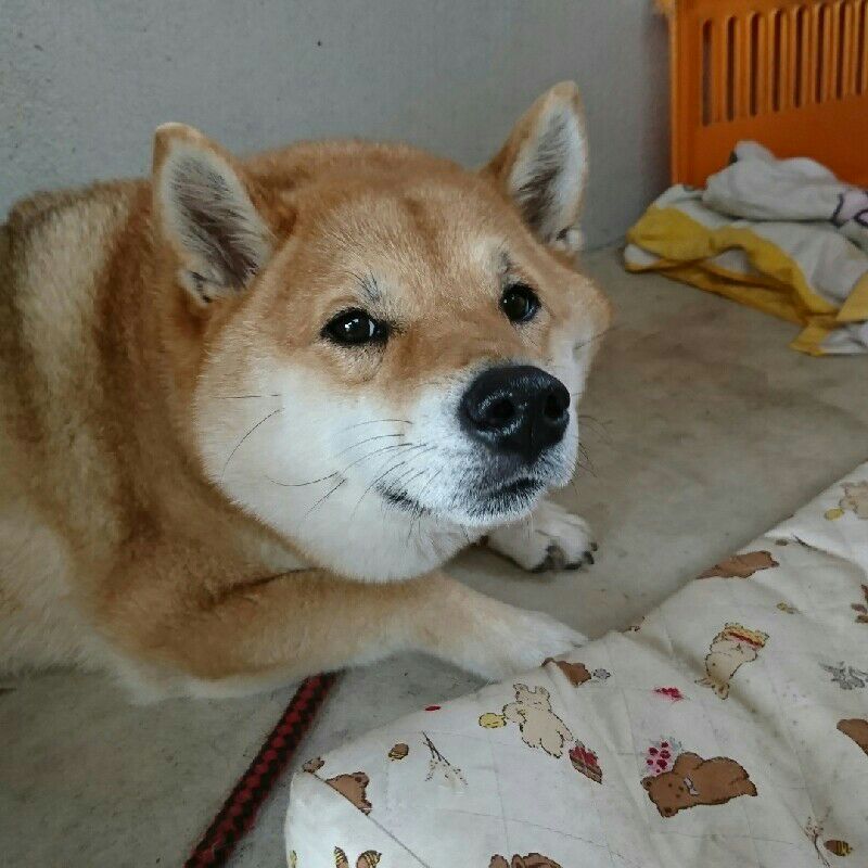 会田義浩