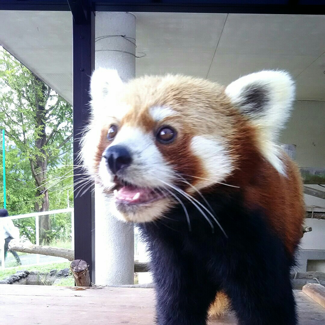 中野
