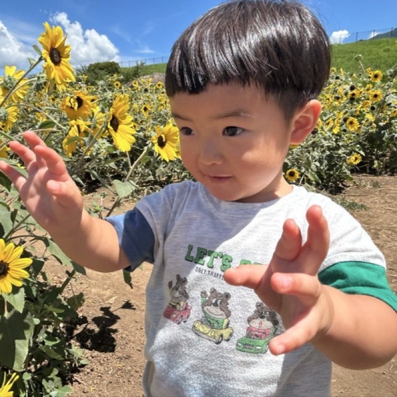 たきざわもえか