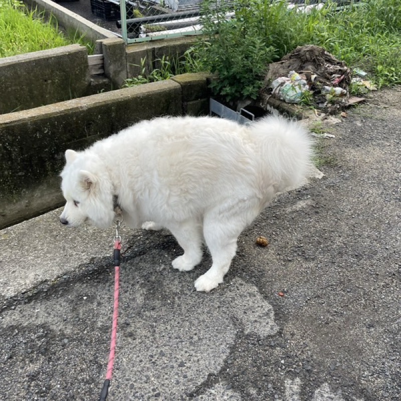 立羽千大