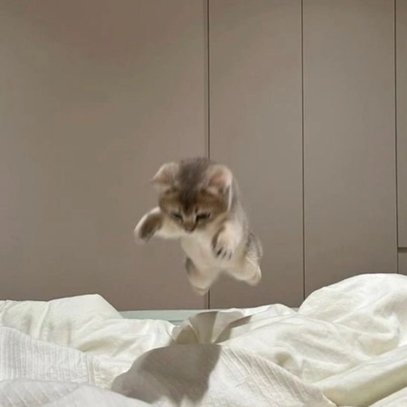 鎌江虹七