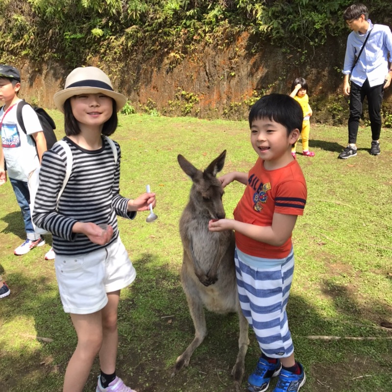 小松樹里
