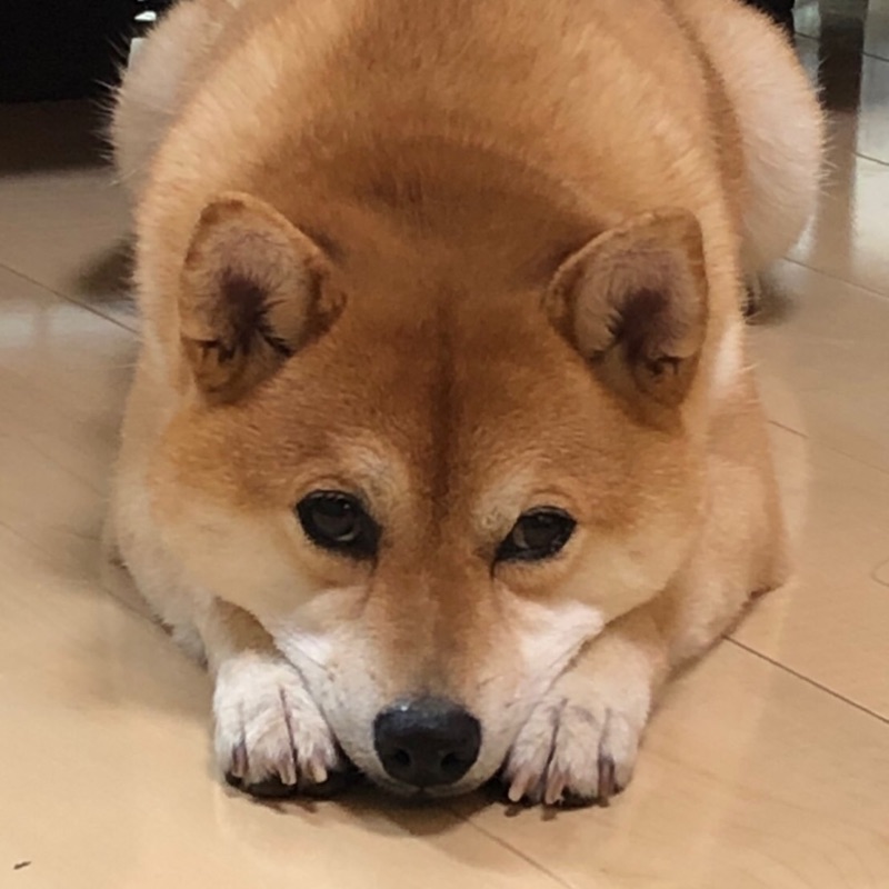 かず