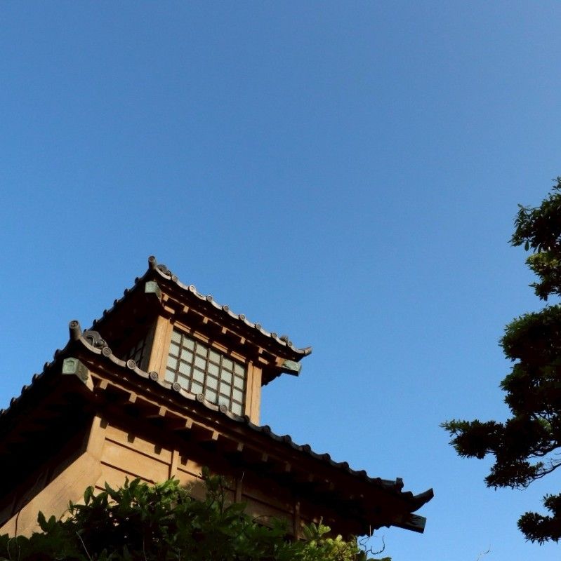 相沢環太
