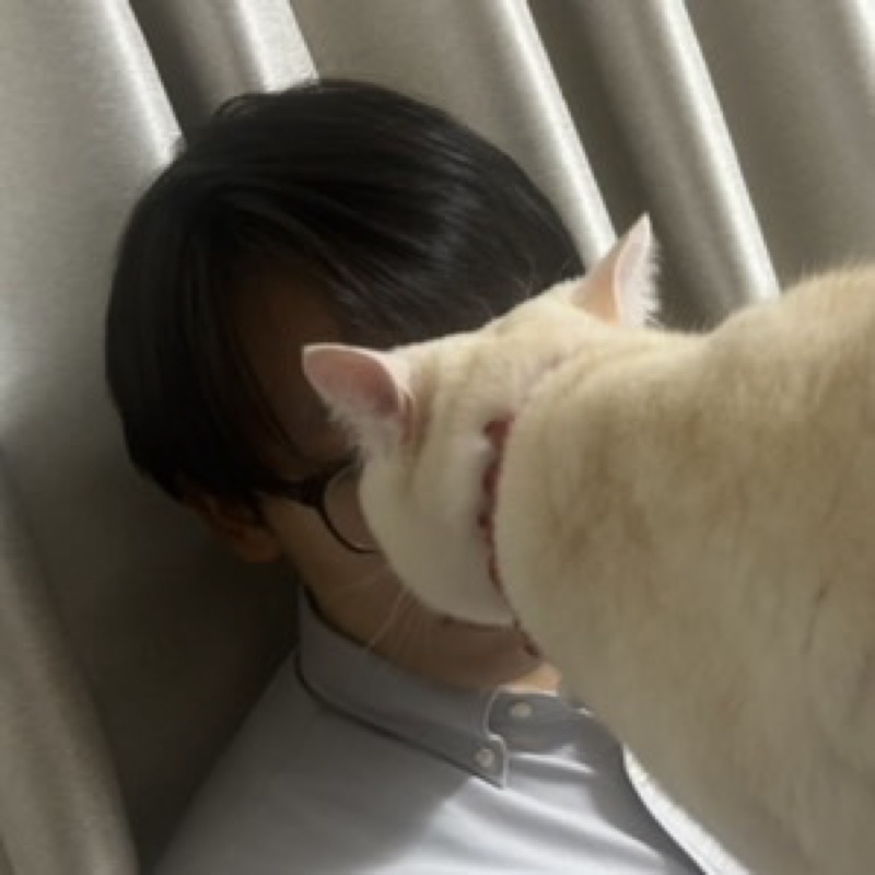 とこ