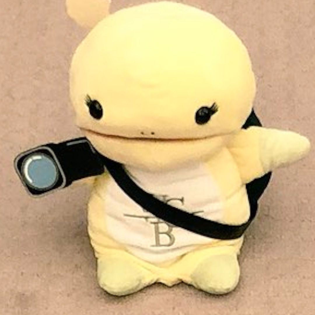 矢野蘭子