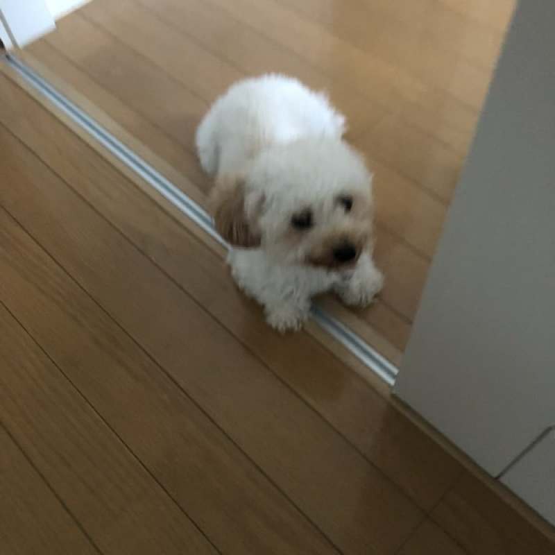 渡辺けんじ