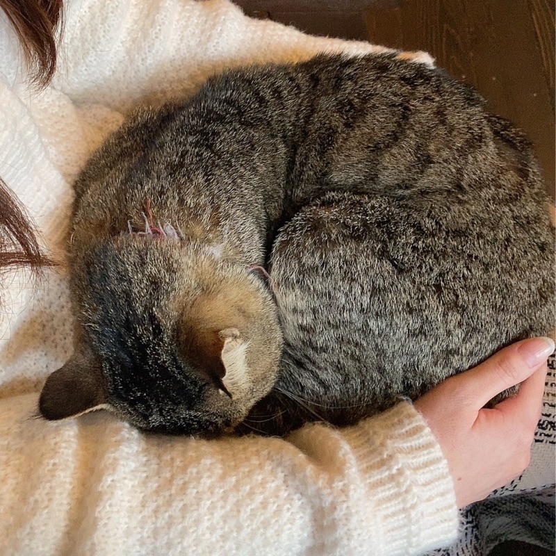 なな
