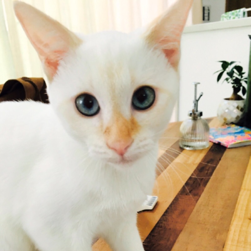 滝本そのえ