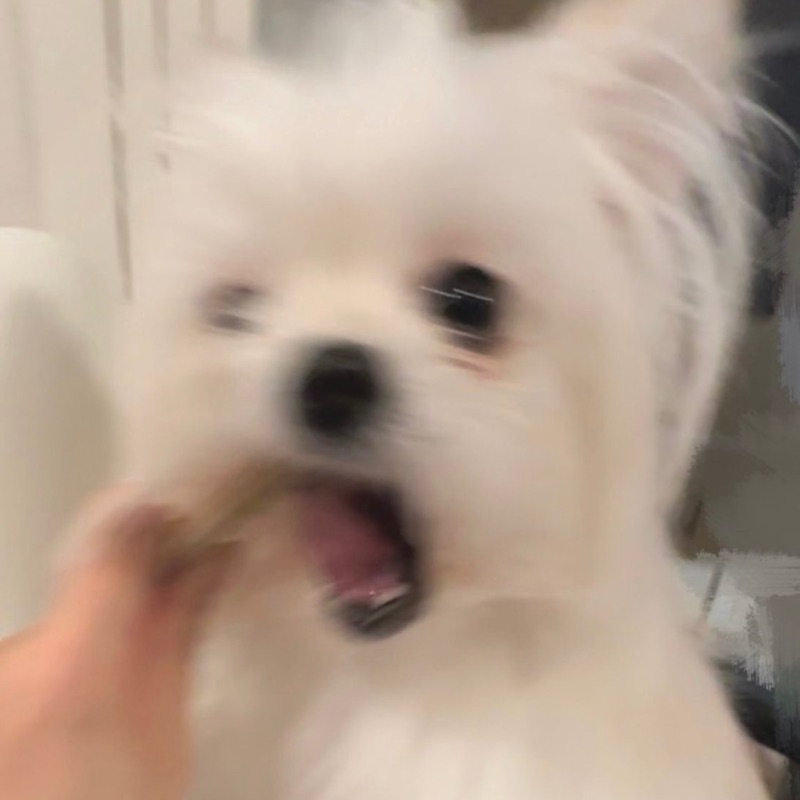 ぴ