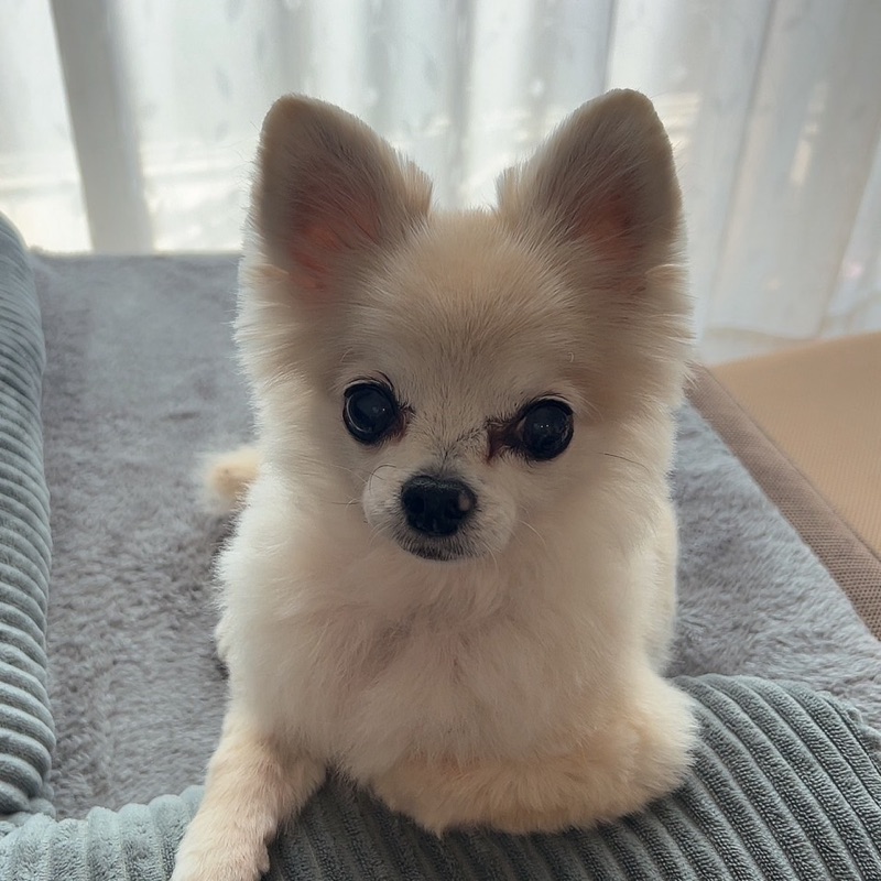 ユミ