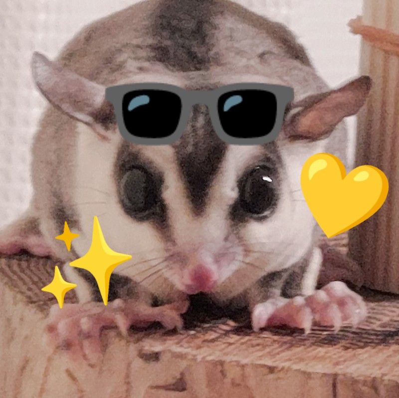 あゆ