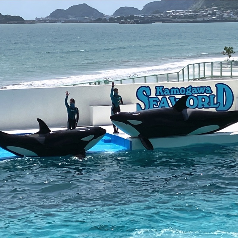 中島恵子