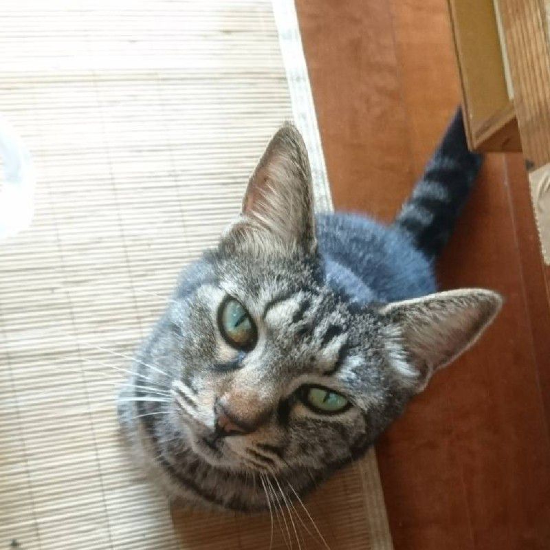 保賀和代