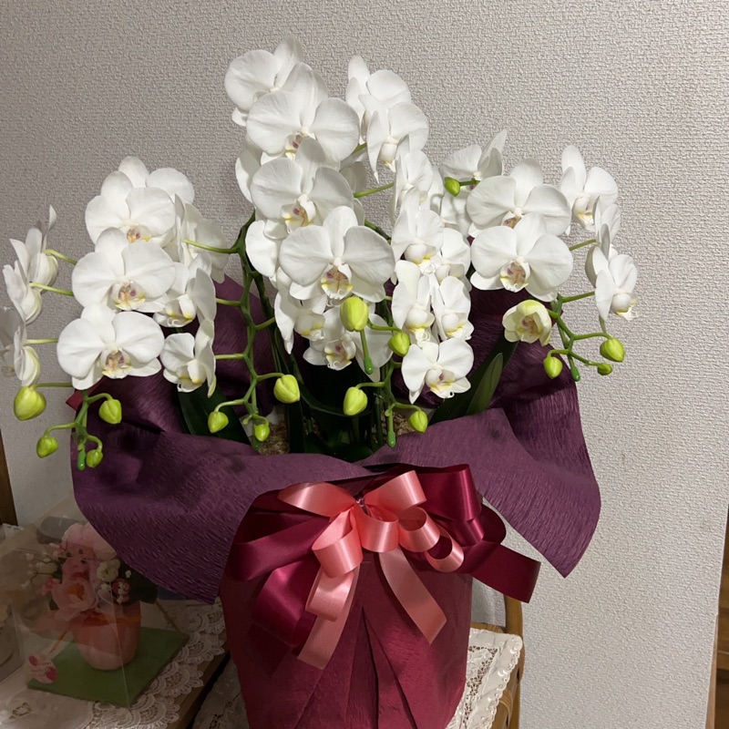 芳野由規子