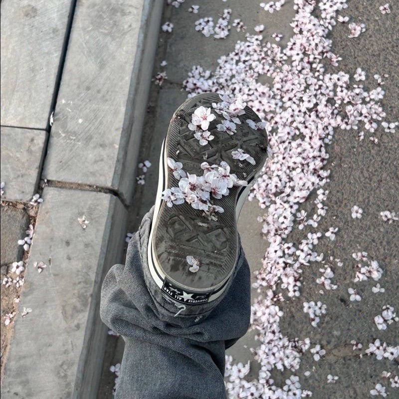 大城　彩可