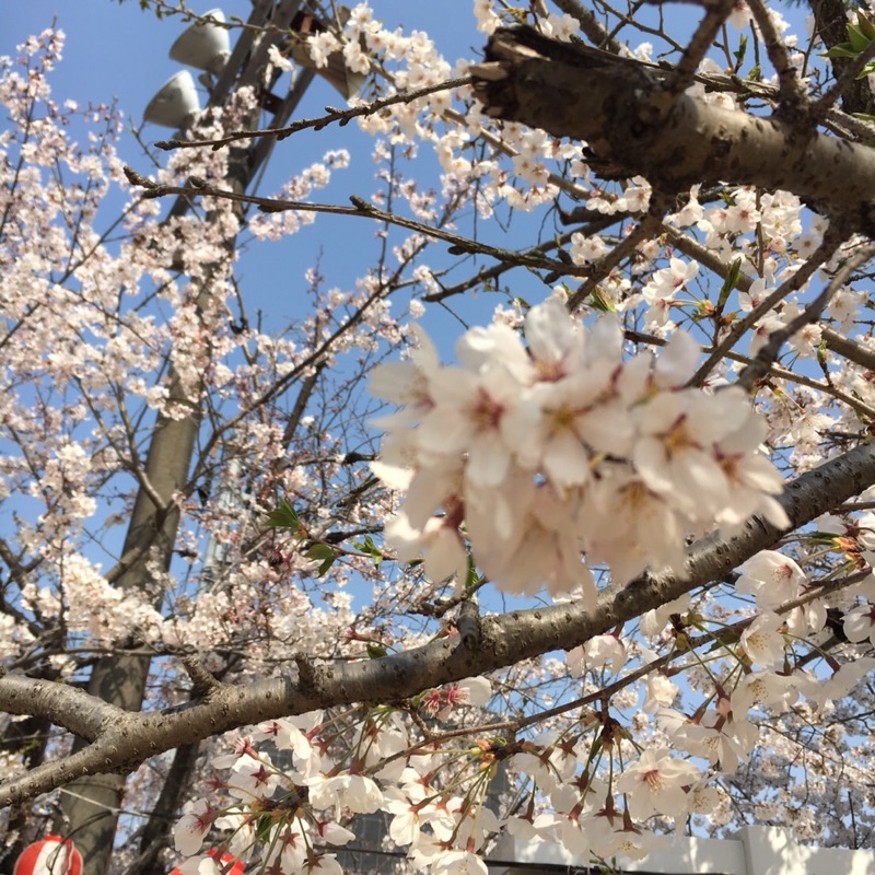 やま