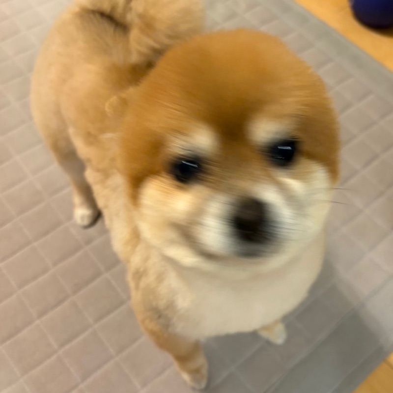HU