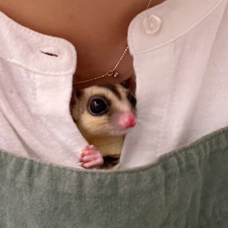 侑紀