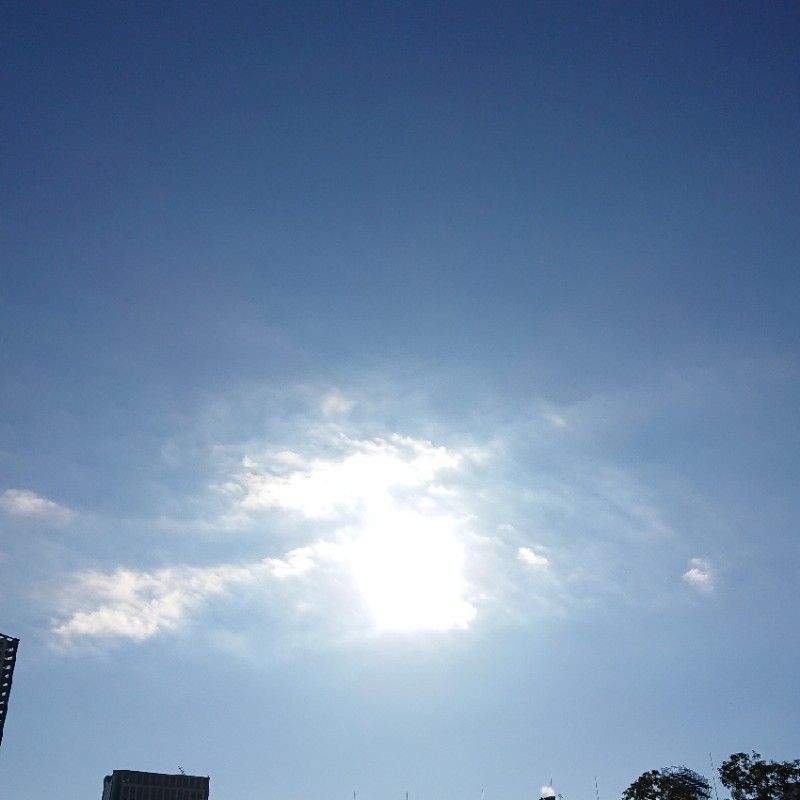 カナスギケイコ