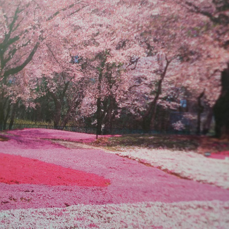 岩本松子